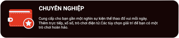 điều hành chuyên nghiệp